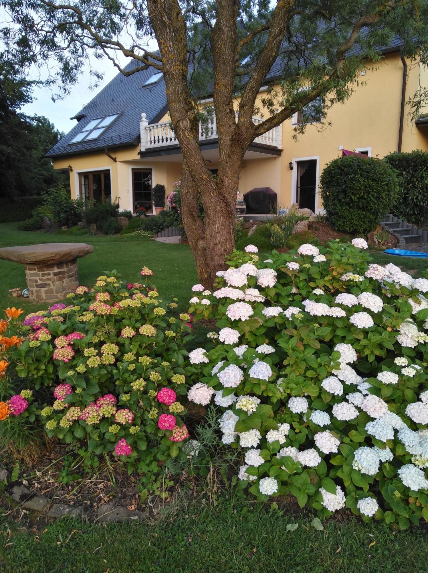 Apartment Haus Maria *